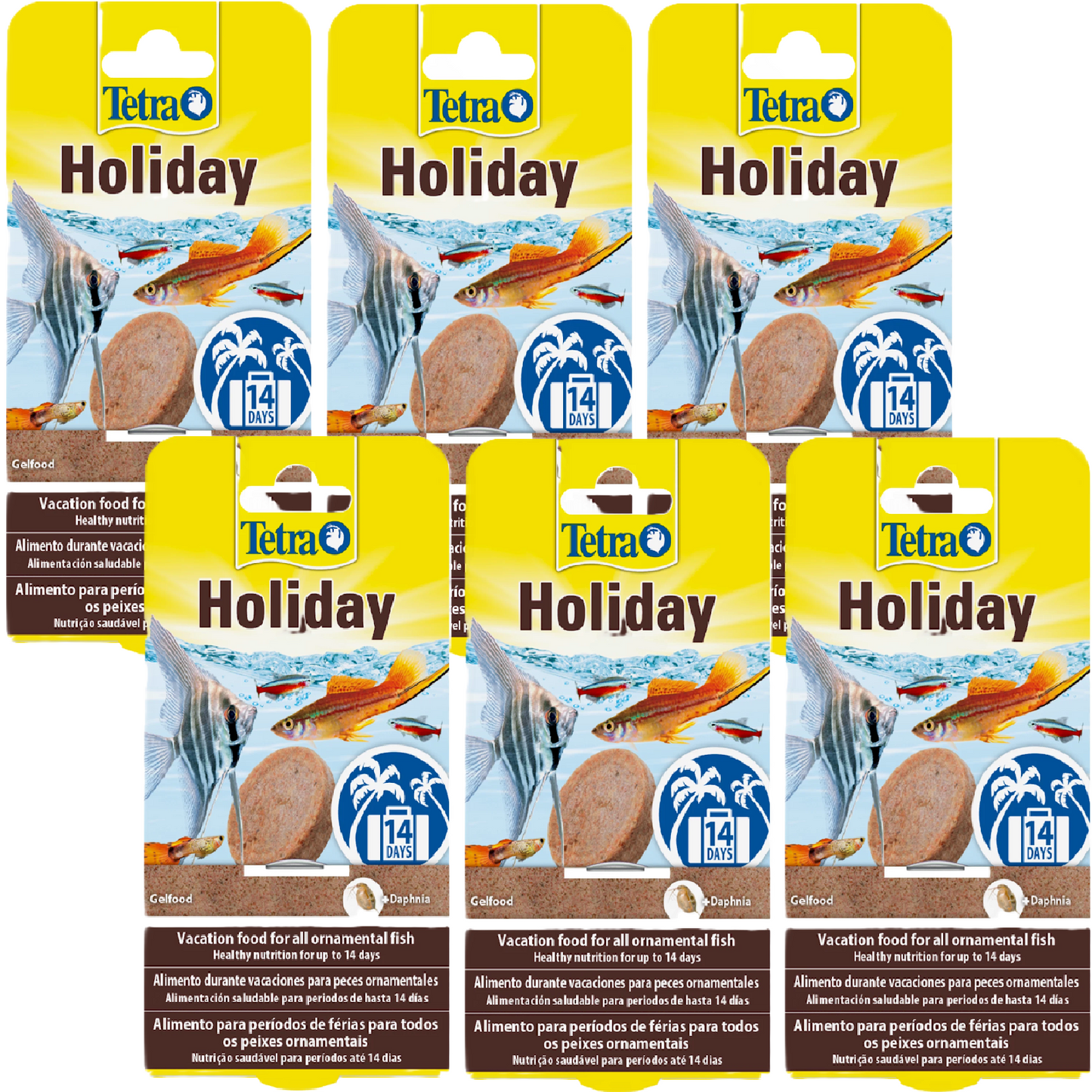 Tetra - Ornamental Fish Holiday (14 days)