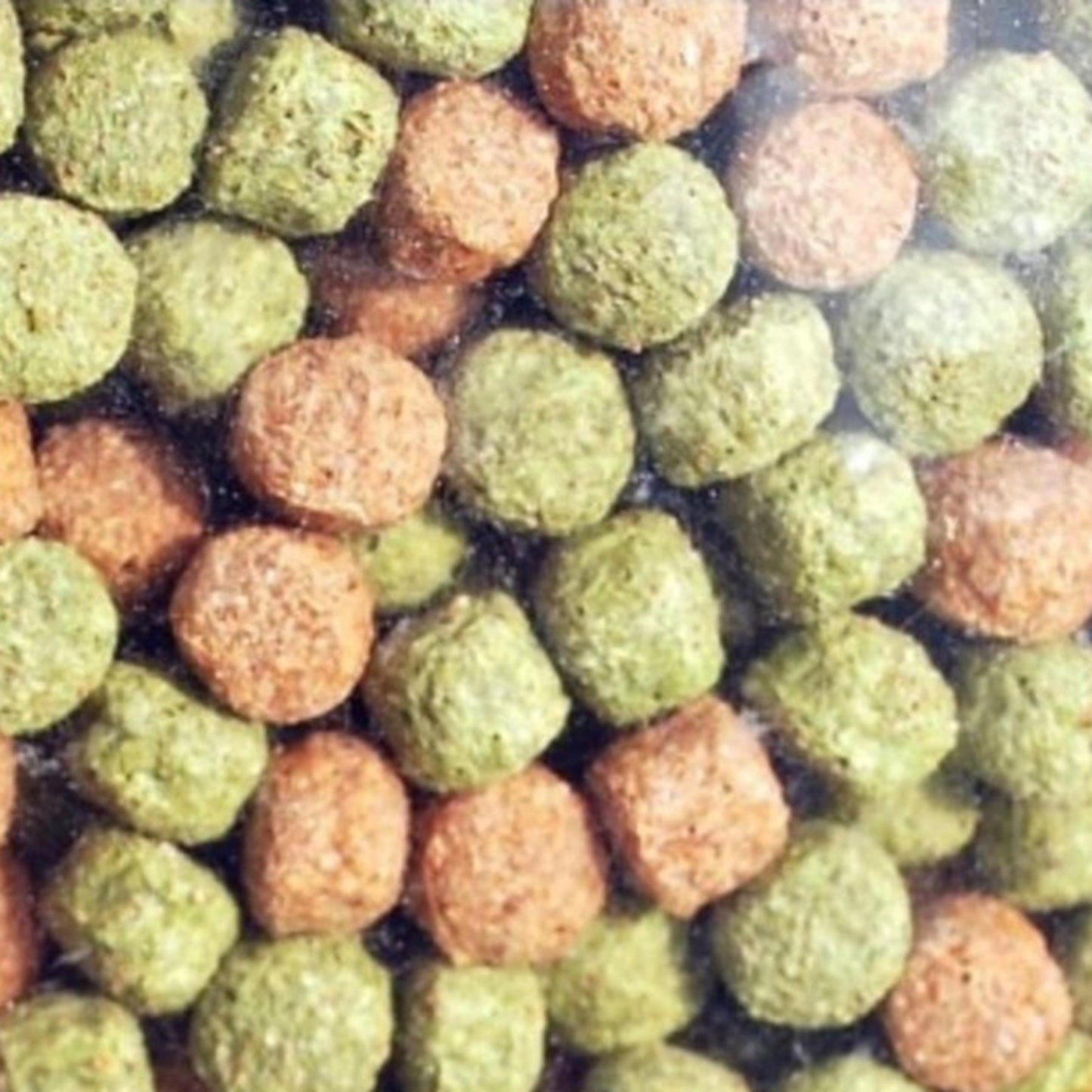Premium Pond Fish Mix