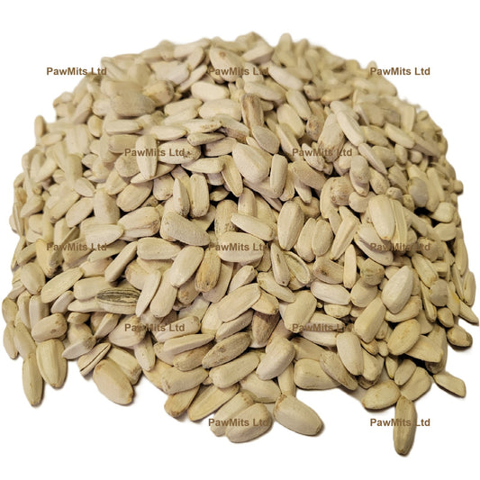 White Sunflower Seed