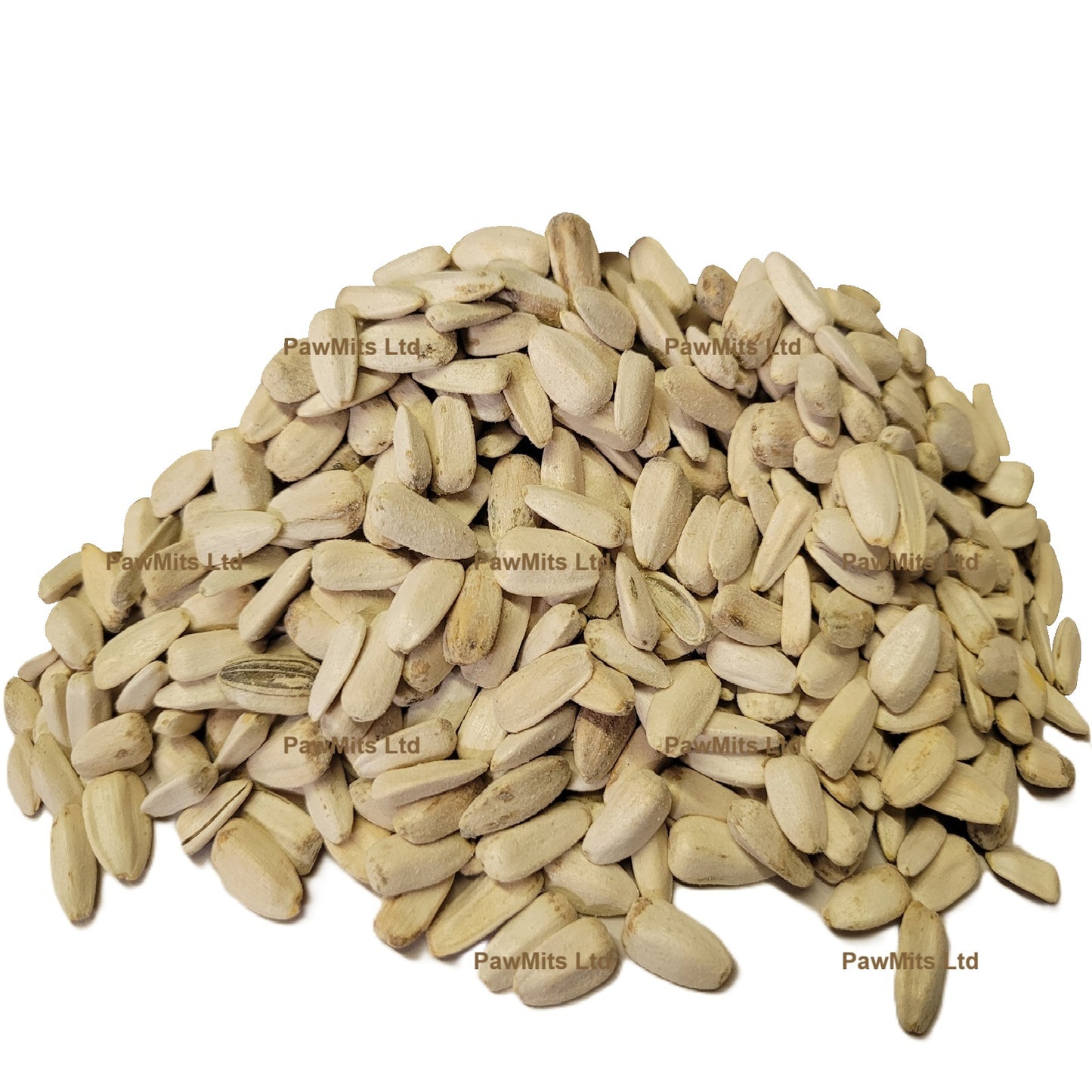 White Sunflower Seed