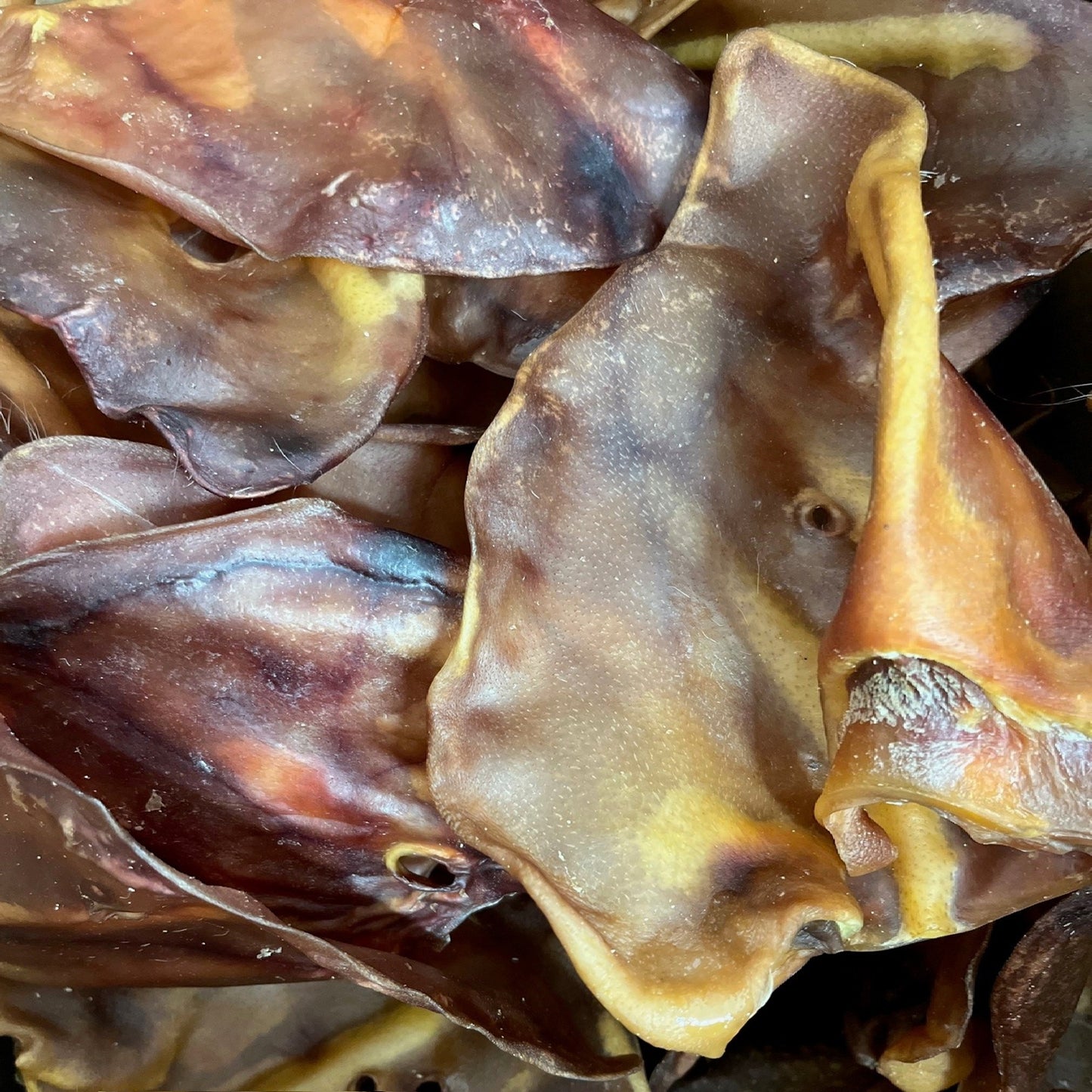 Paddock Farm - XL Pig Ears (50pk)