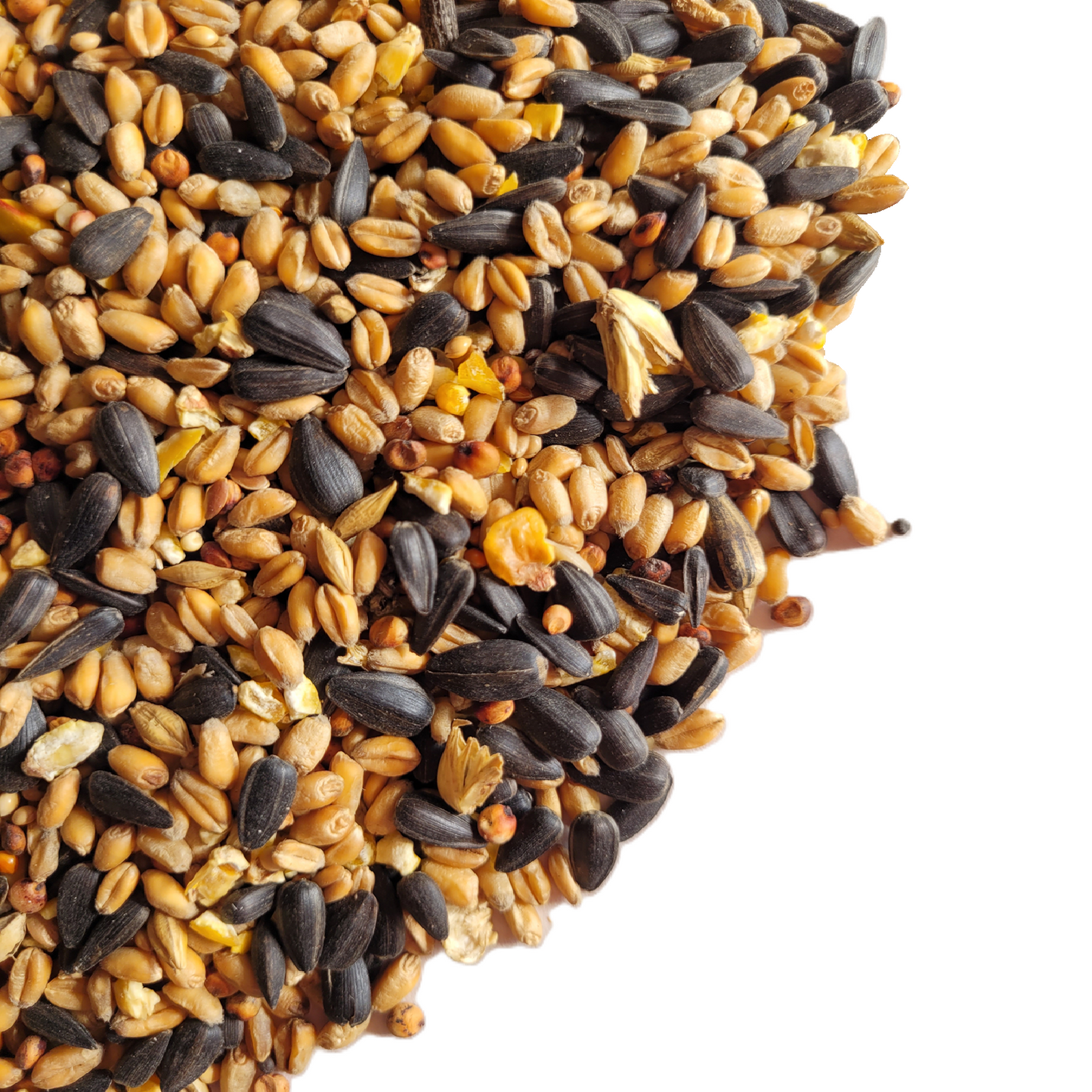 Xtra Wild Bird Food with Aniseed