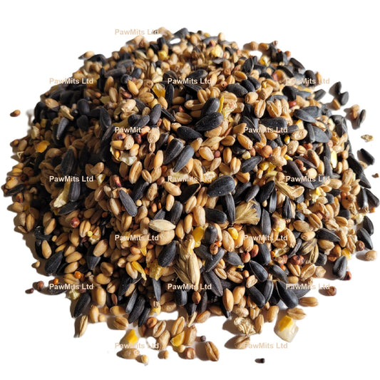 Xtra Wild Bird Food with Aniseed