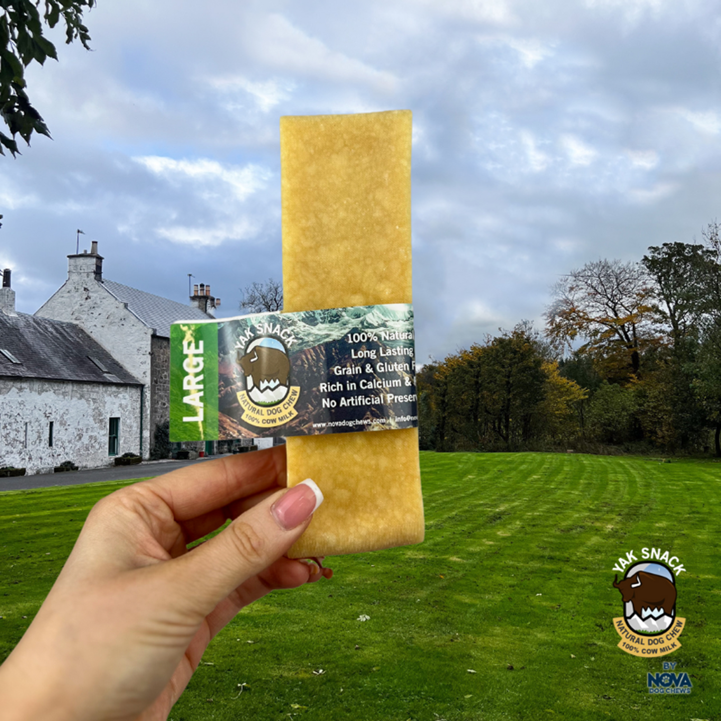 Yak Snack - Cheese Dog Chews