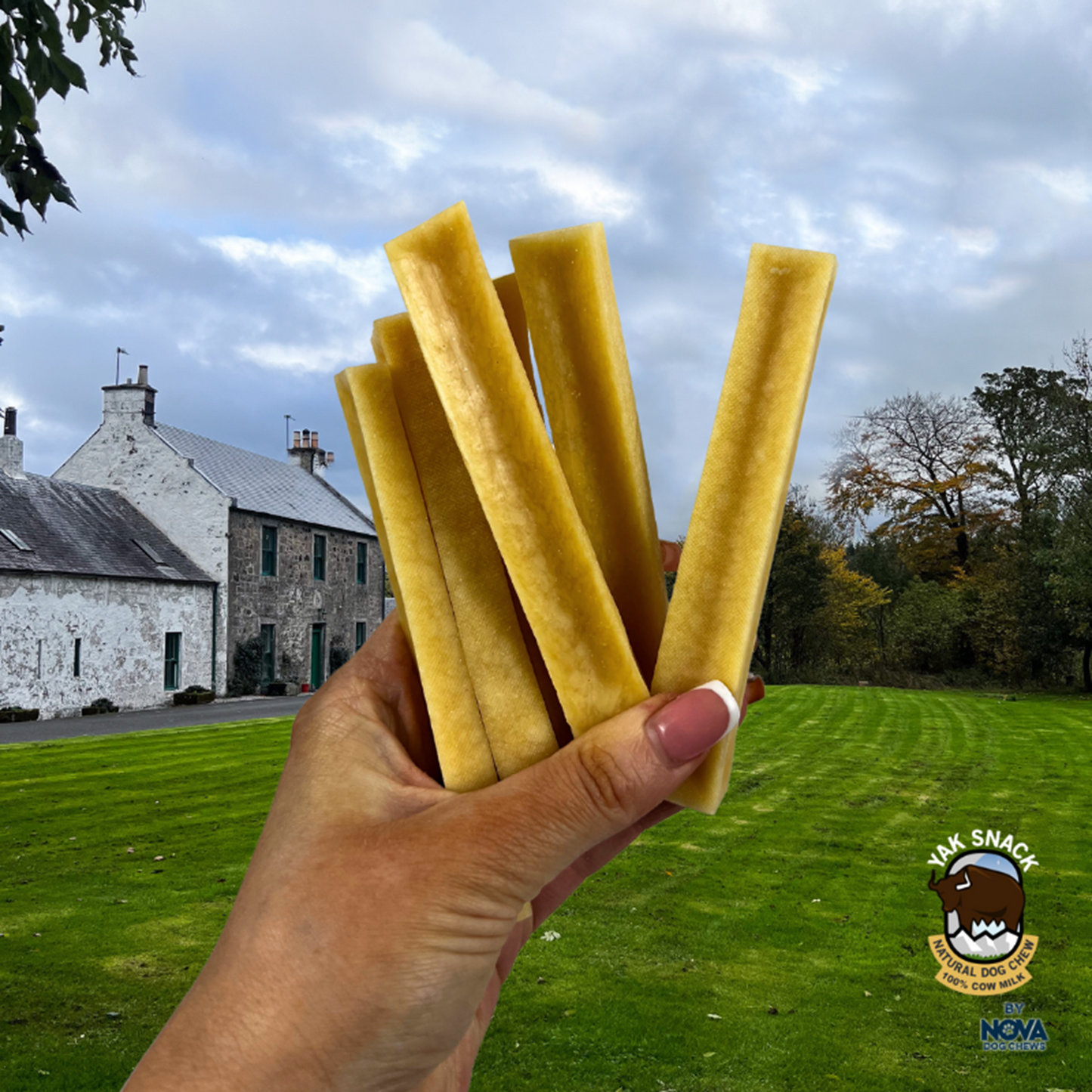 Yak Snack - Cheese Dog Chews