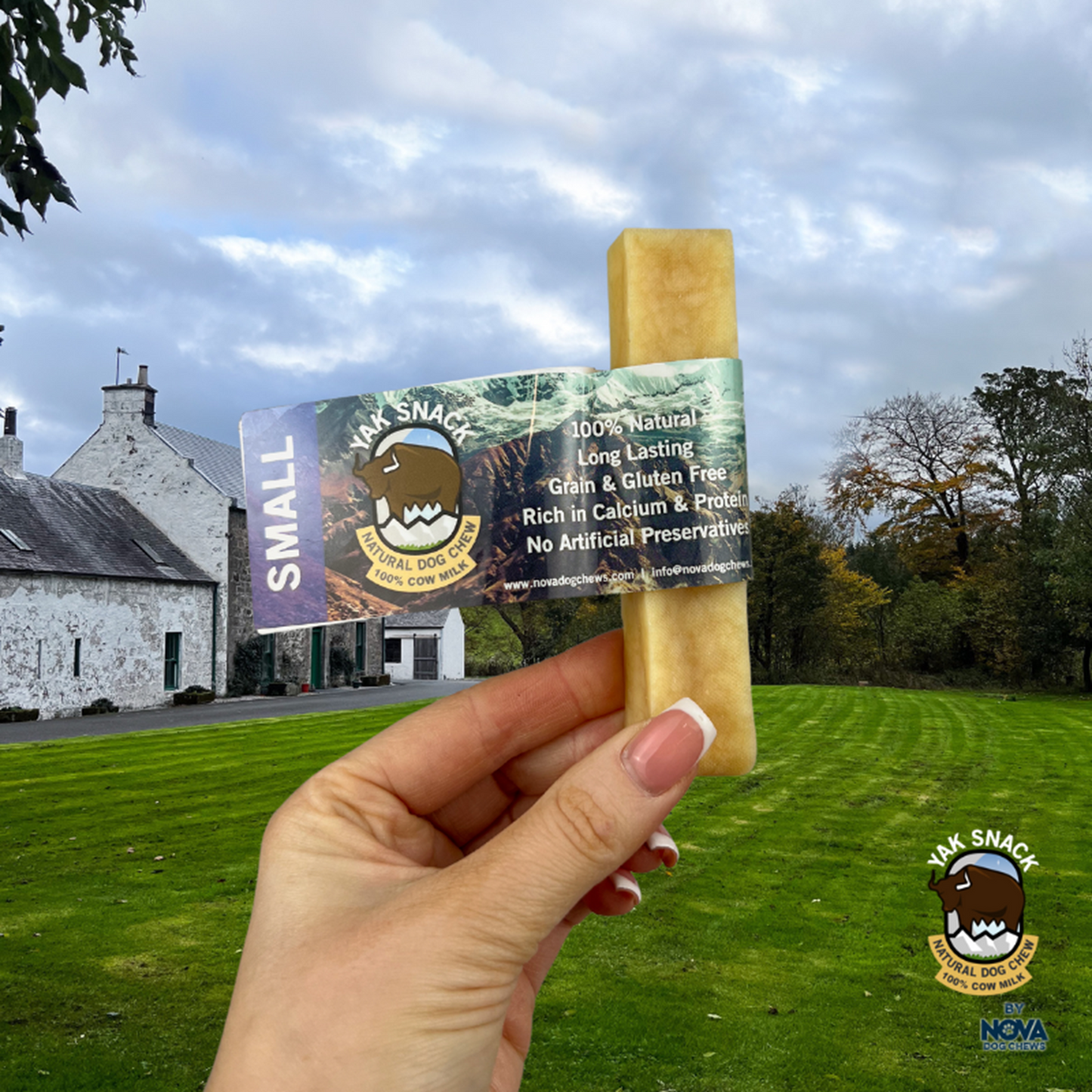 Yak Snack - Cheese Dog Chews