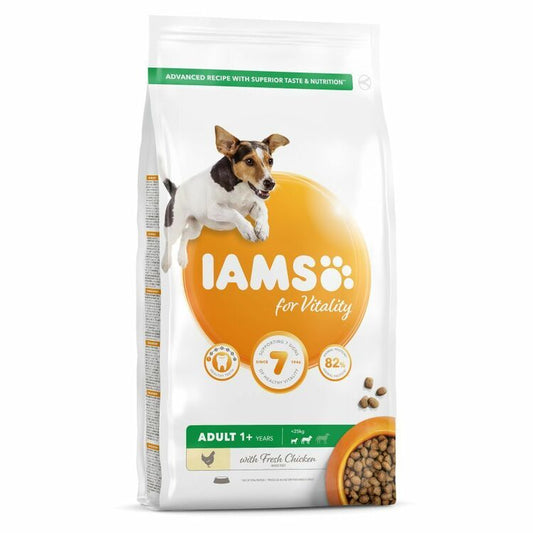 Iams - Adult 1+ Chicken