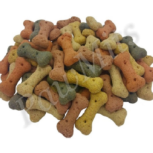 Pointer - Assorted Mini Bones