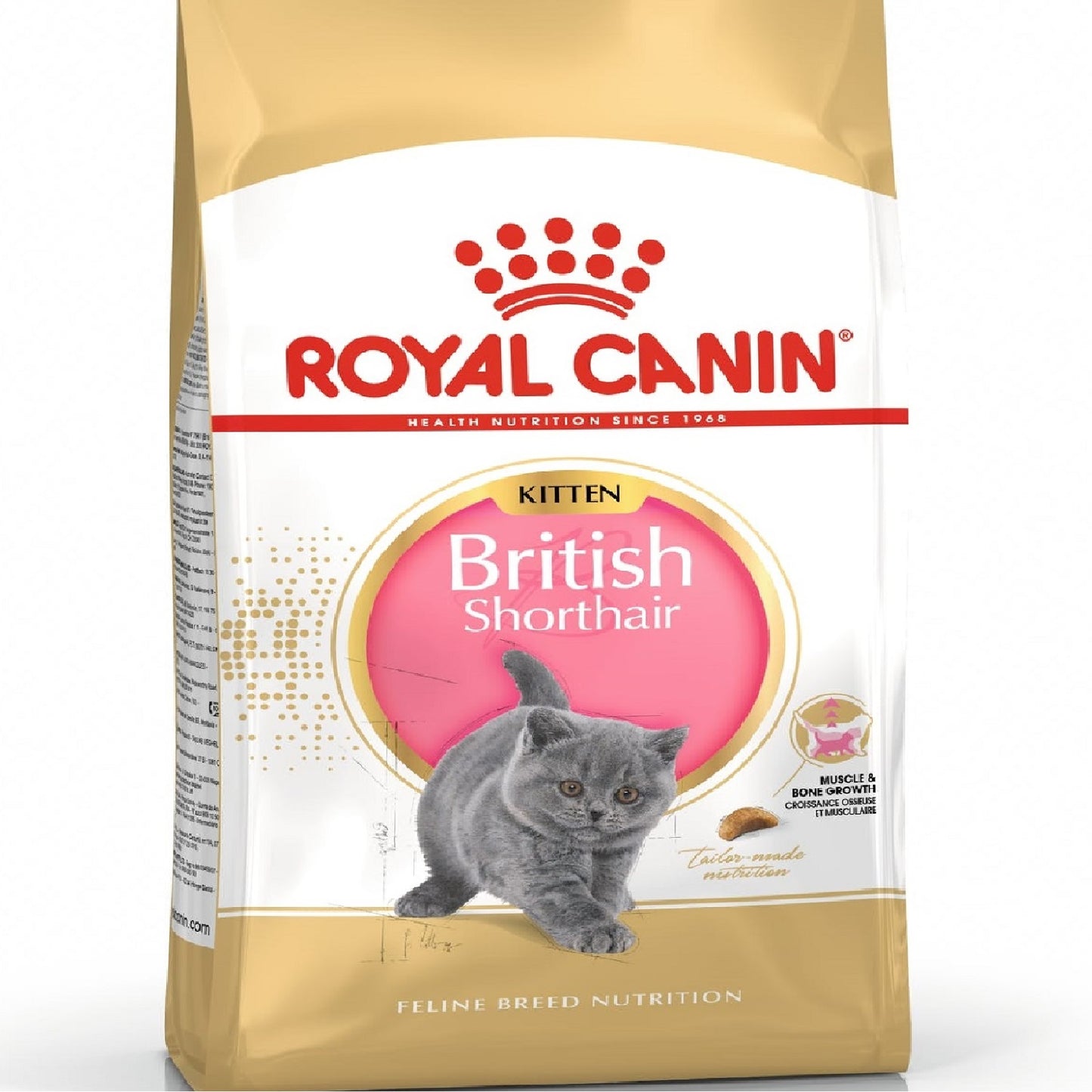 ROYAL CANIN - British Shorthair Kitten
