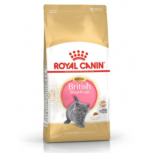 ROYAL CANIN - British Shorthair Kitten