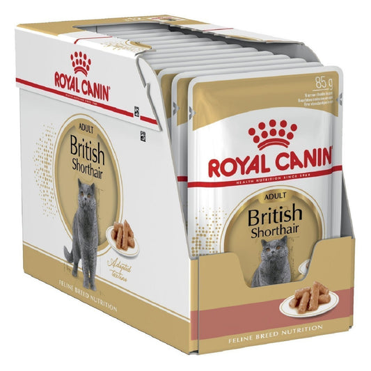 ROYAL CANIN - Adult British Shorthair (12 x 85g)