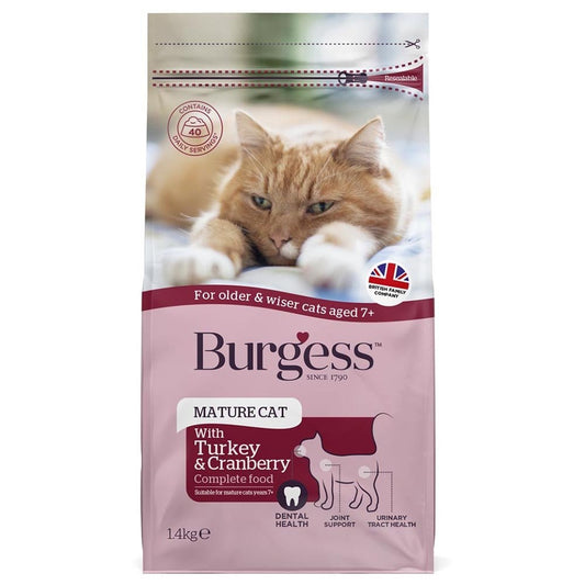 Burgess - Mature Cat