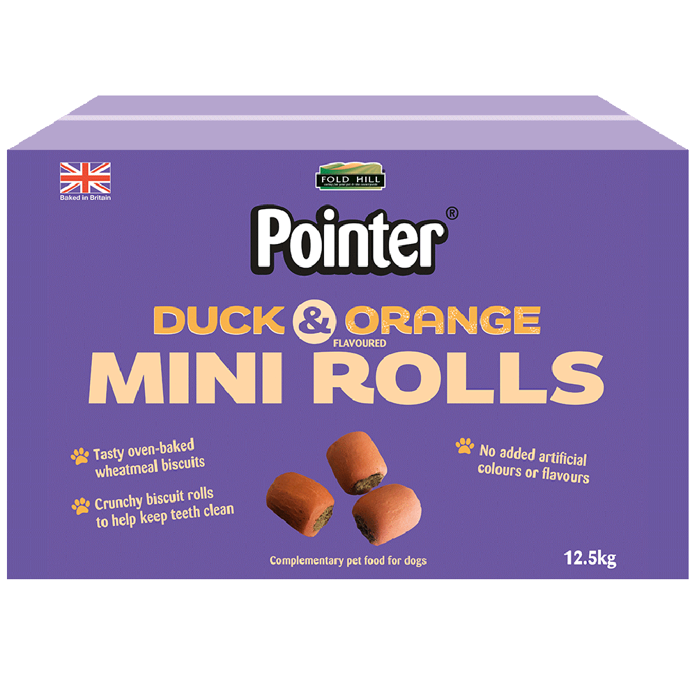 Pointer - Duck & Orange Mini Rolls (12.5kg)