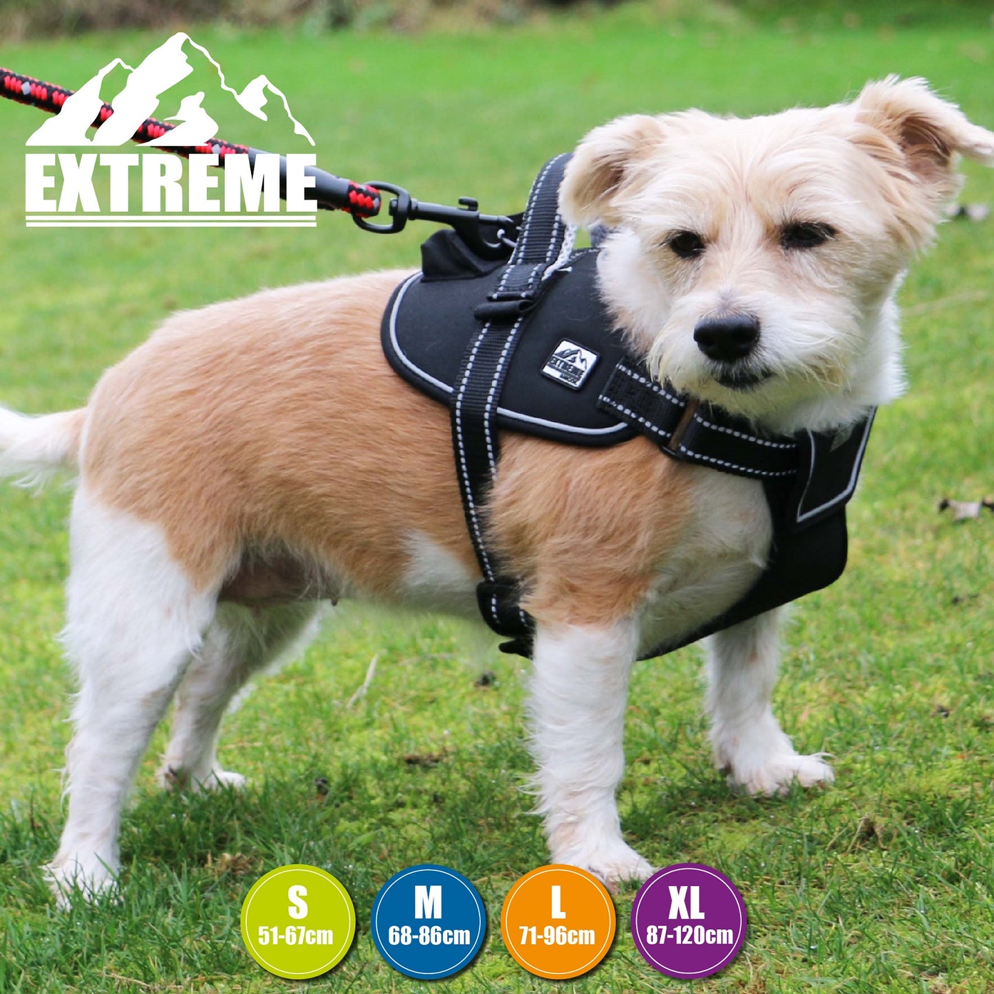 Ancol - Extreme Dog Harness