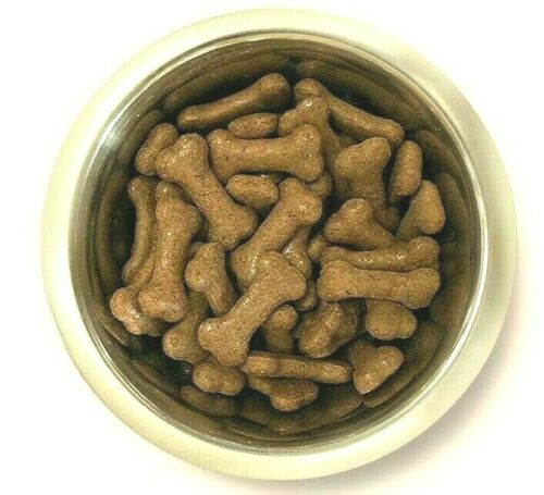 Pointer - Beef Gravy Bones