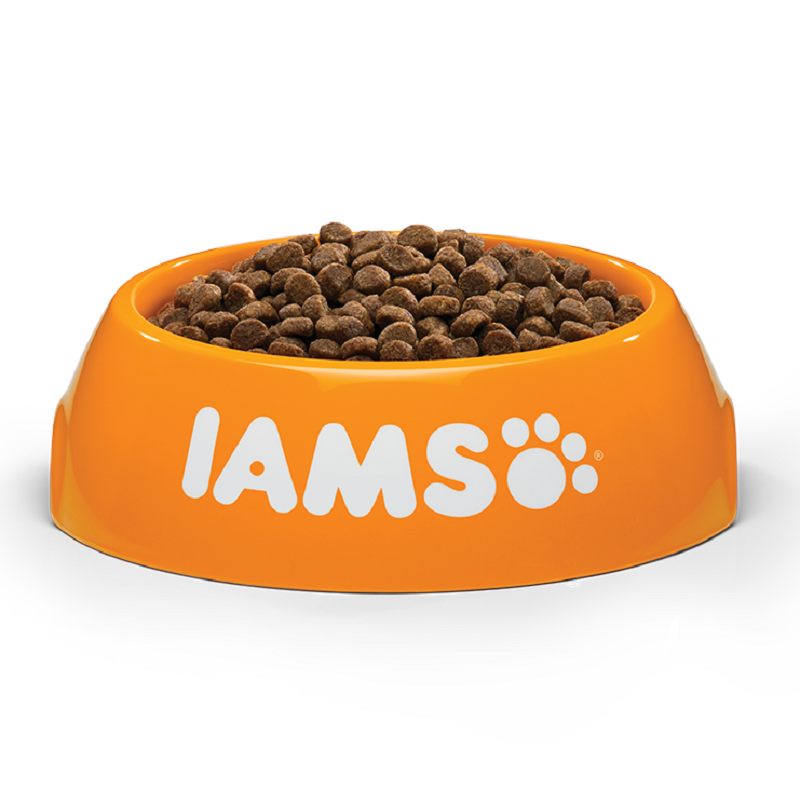 Iams - Kitten (2kg)