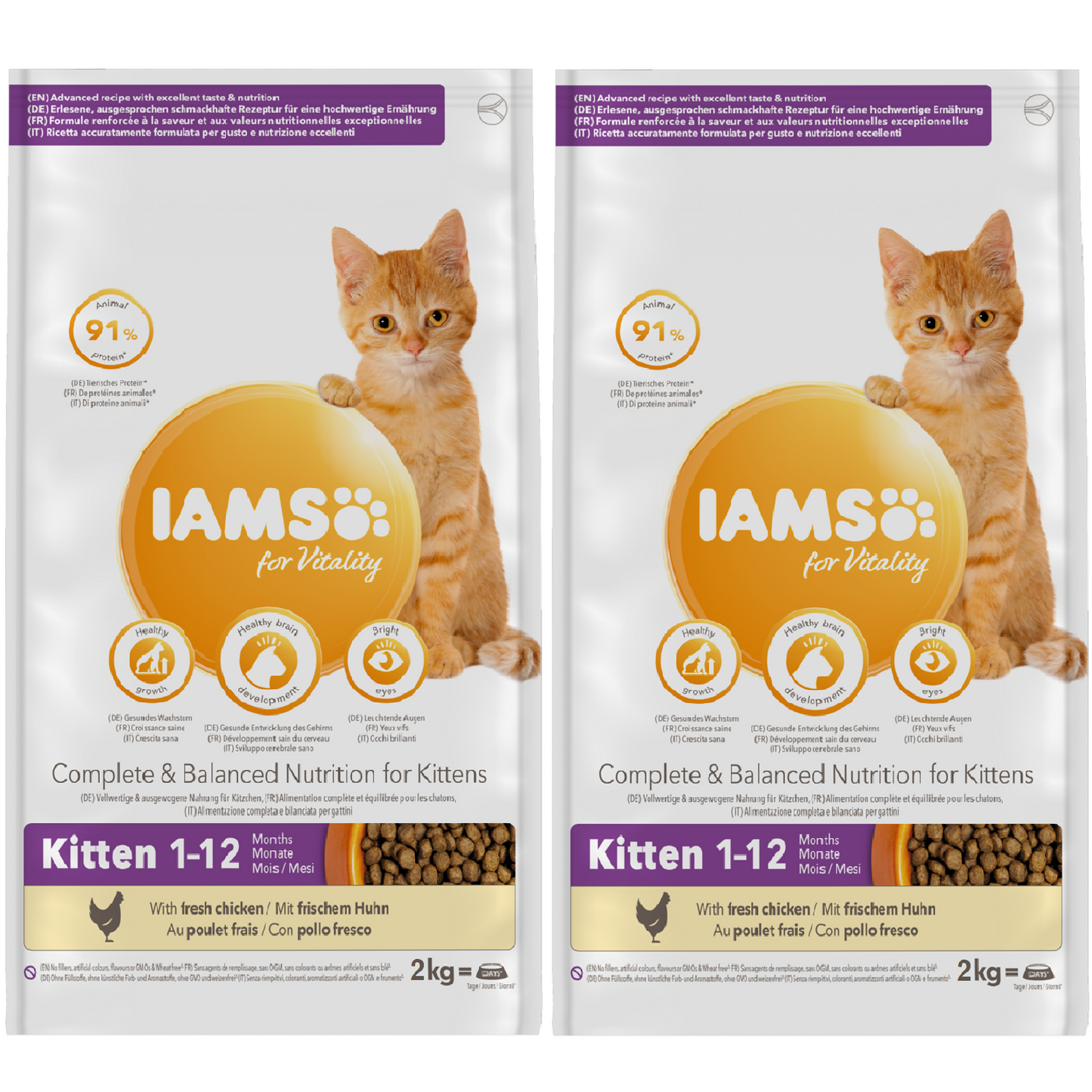 Iams - Kitten (2kg)