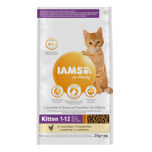 Iams - Kitten (2kg)