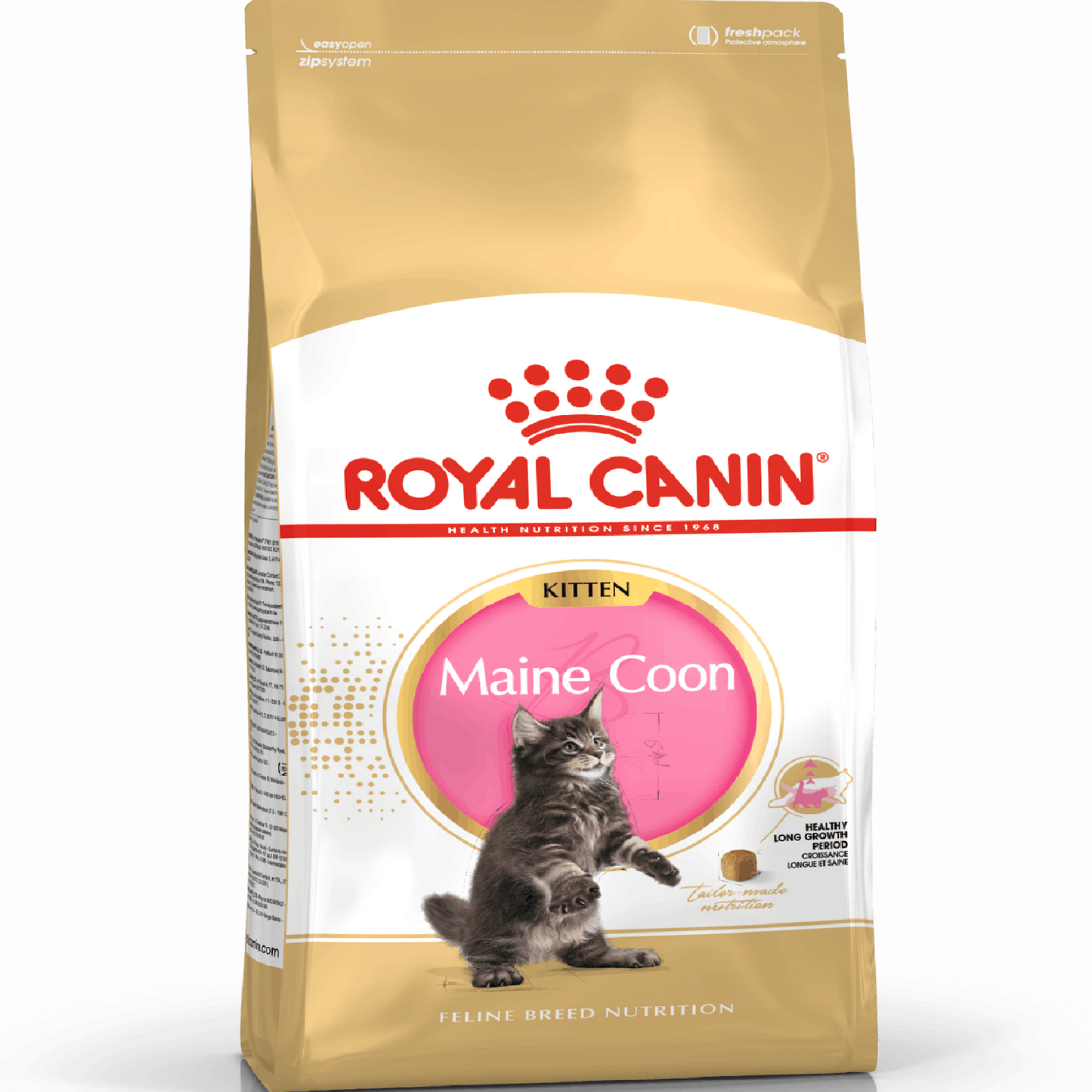 ROYAL CANIN - Maine Coon Kitten
