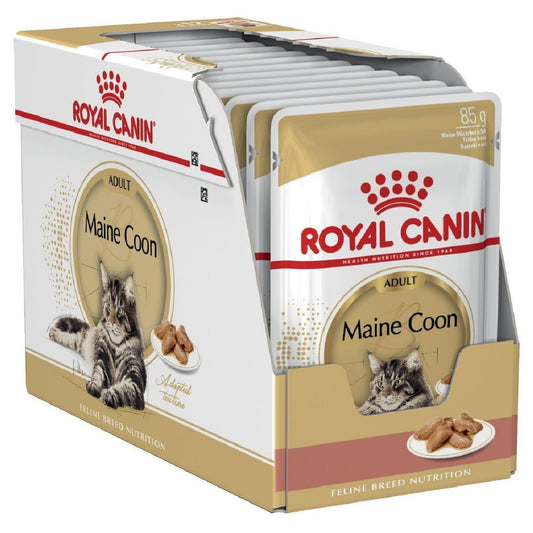 ROYAL CANIN - Adult Maine Coon (12 x 85g)