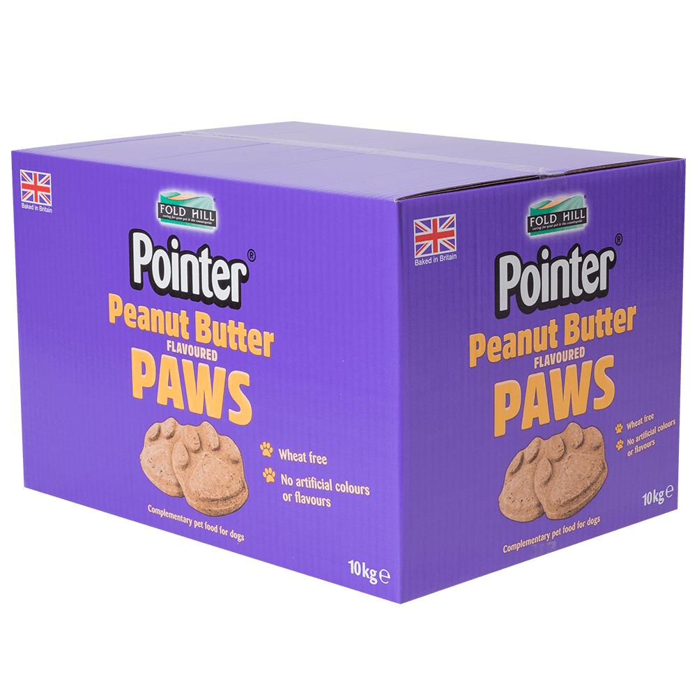 Pointer - Peanut Butter Paws