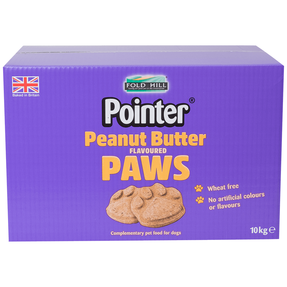 Pointer - Peanut Butter Paws