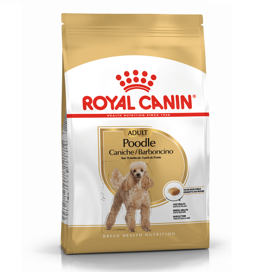 ROYAL CANIN - Poodle Adult
