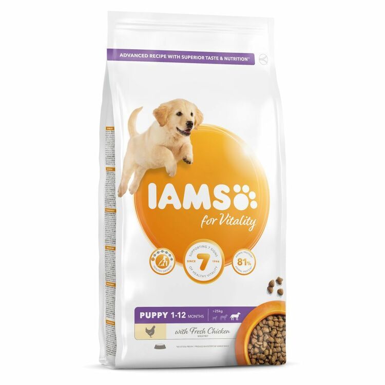 Iams - Large Puppy