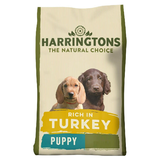 Harringtons - Puppy