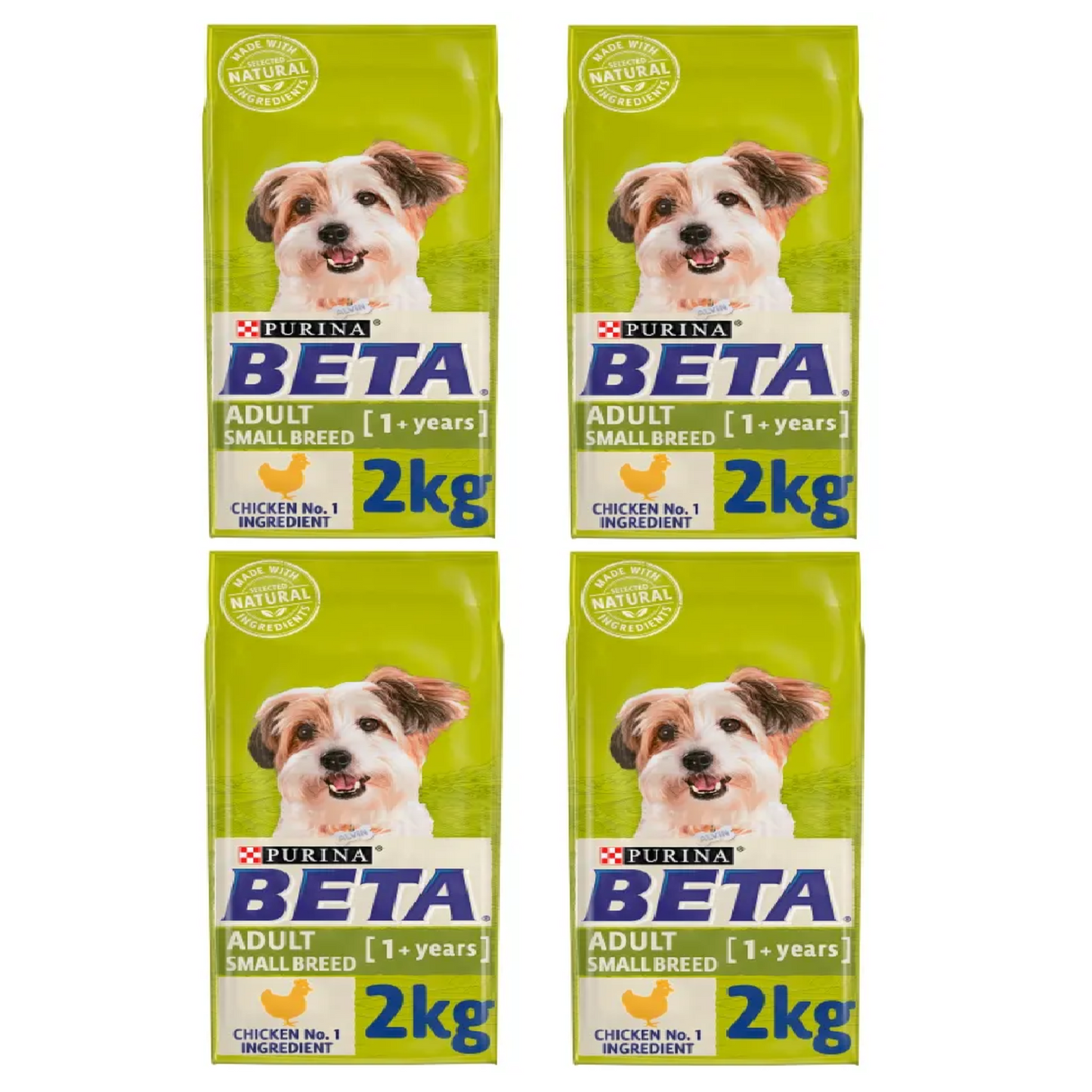 BETA - Adult Small Breed