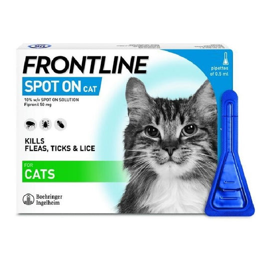 FRONTLINE - Spot on Cat