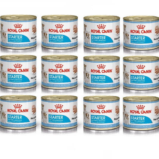 ROYAL CANIN - Starter Mother & Babydog Mousse (12 x 195g)