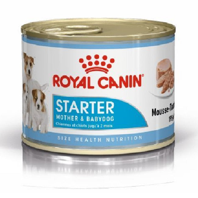 ROYAL CANIN - Starter Mother & Babydog Mousse (12 x 195g)