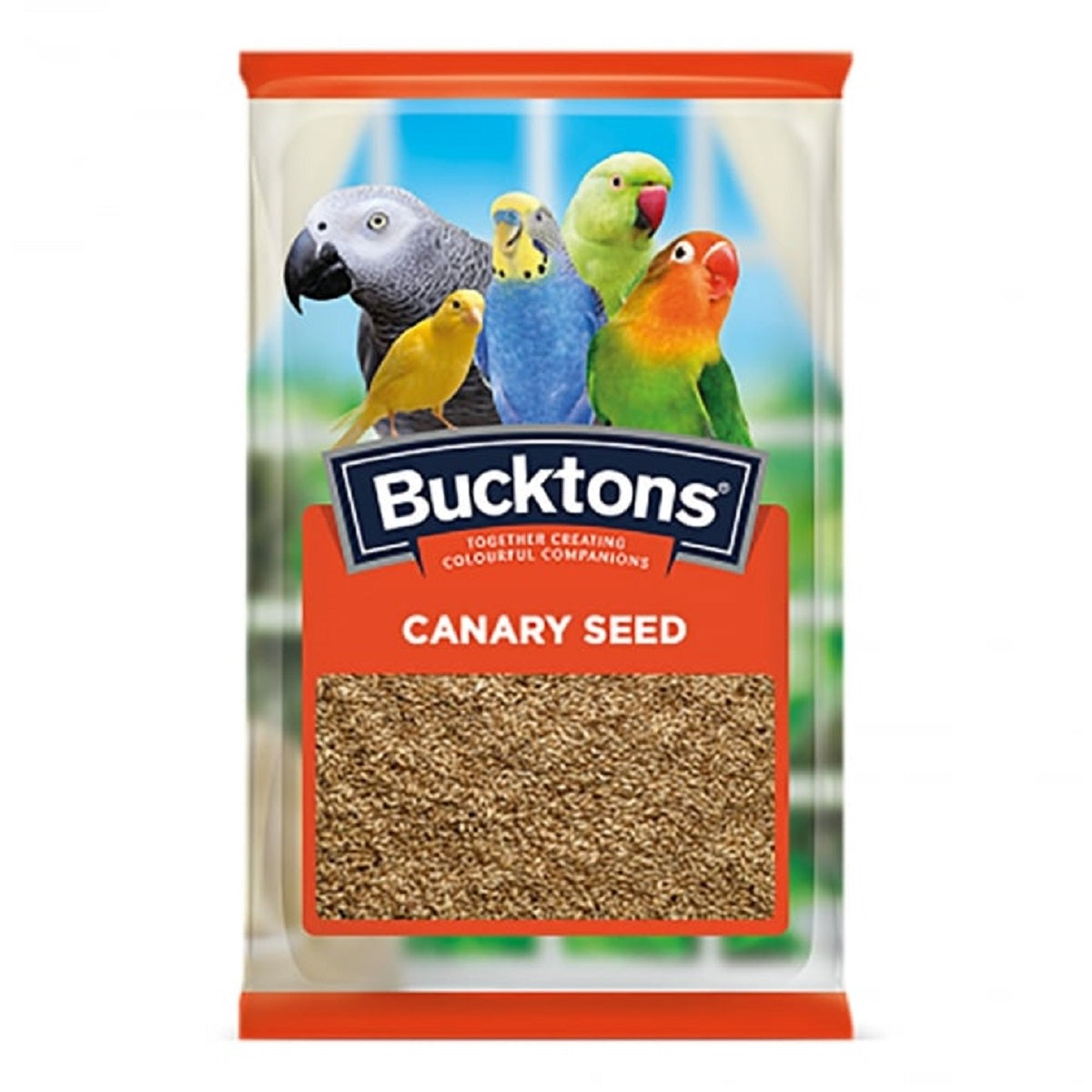 Bucktons - Plain Canary