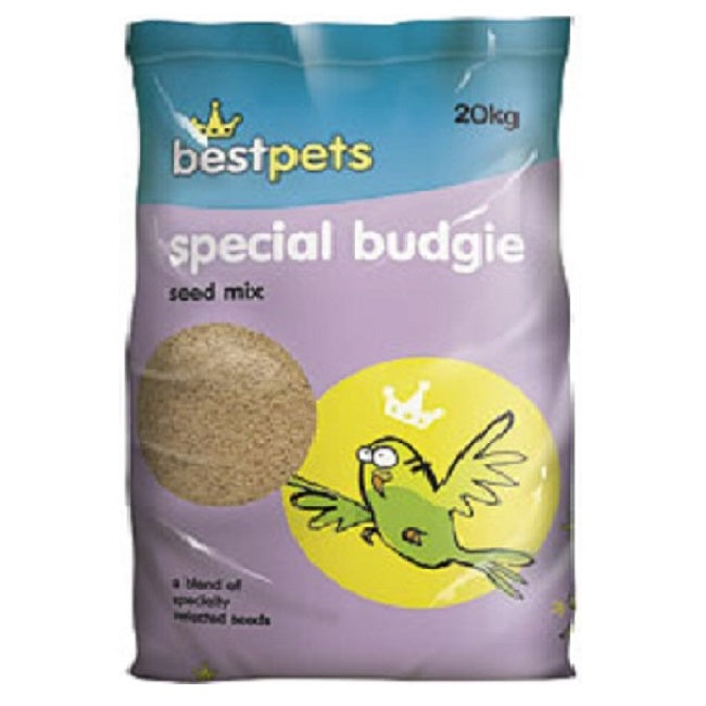 BestPets - Special Budgie