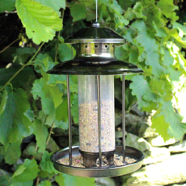 Deluxe Lantern Feeder