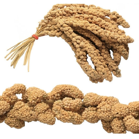 Millet Sprays (8-10" inch)