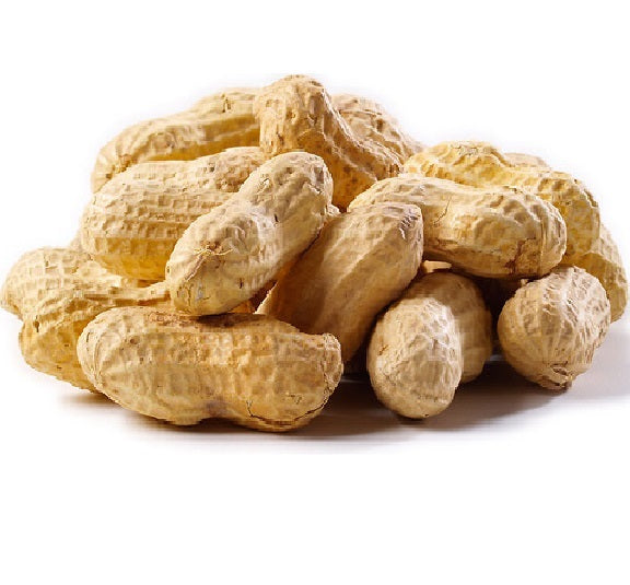 Peanuts In Shells / Monkey Nuts