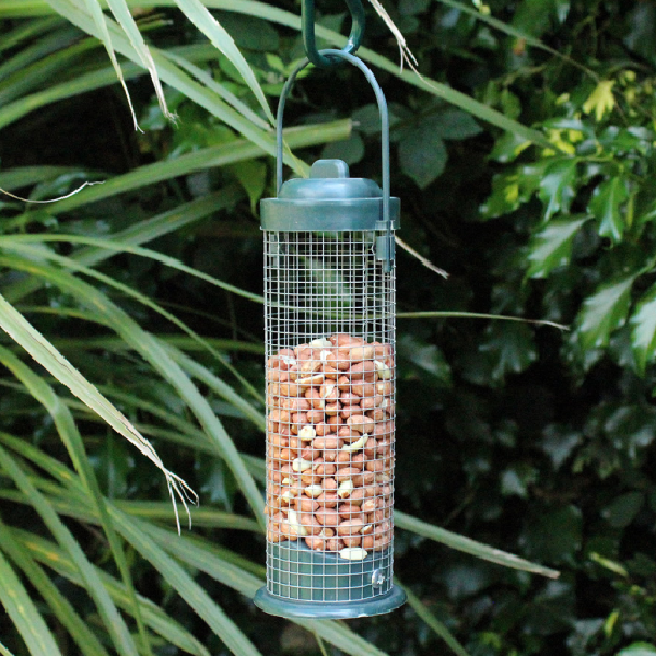 Peanut Feeders